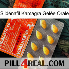 Sildénafil Kamagra Gelée Orale new01